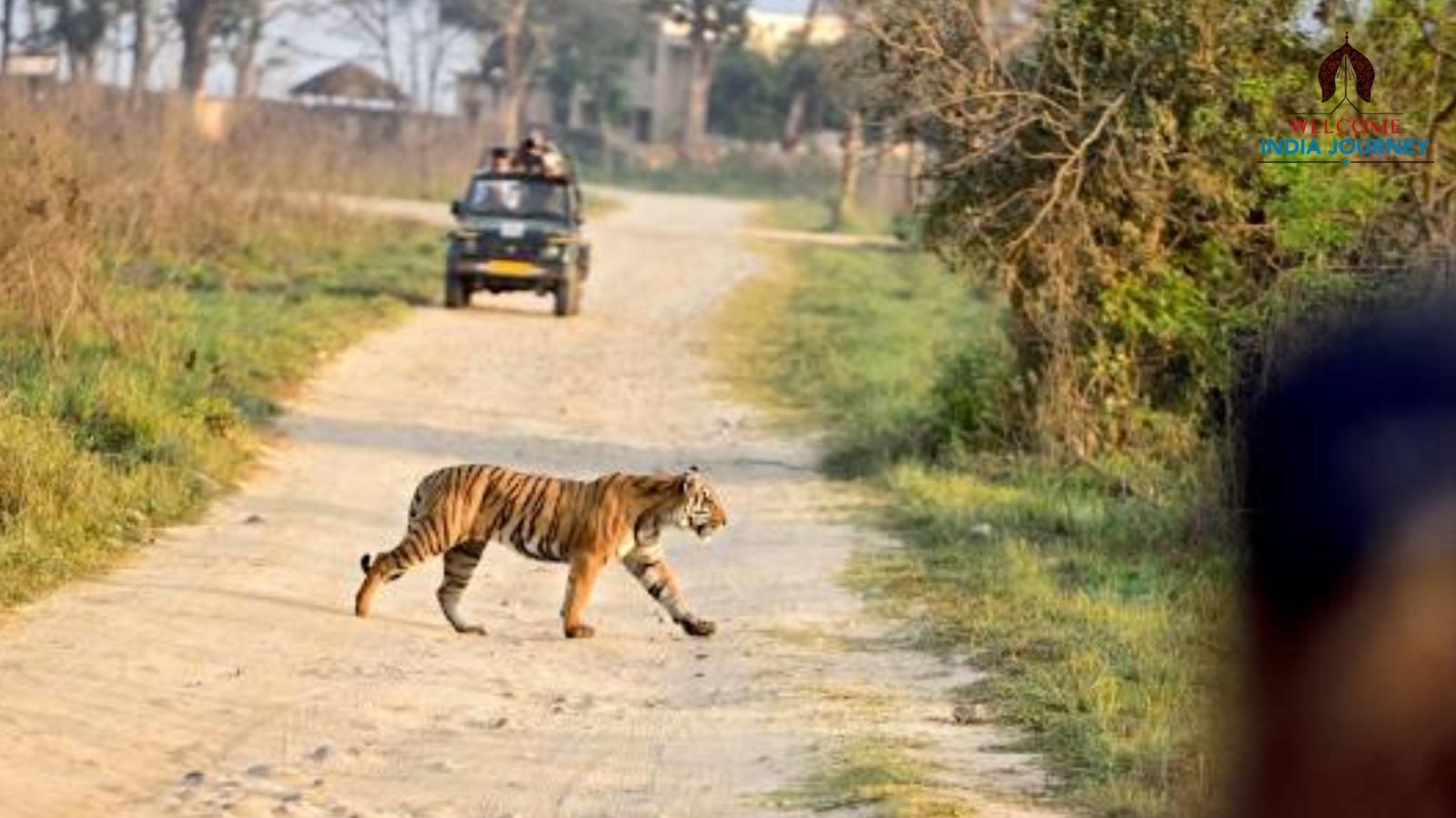 Golden triangle tours