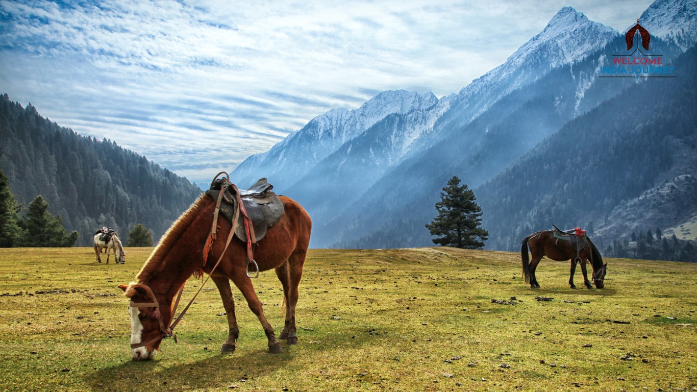 Experience the magic of Kashmir and the grandeur of Agra Tour 6 days