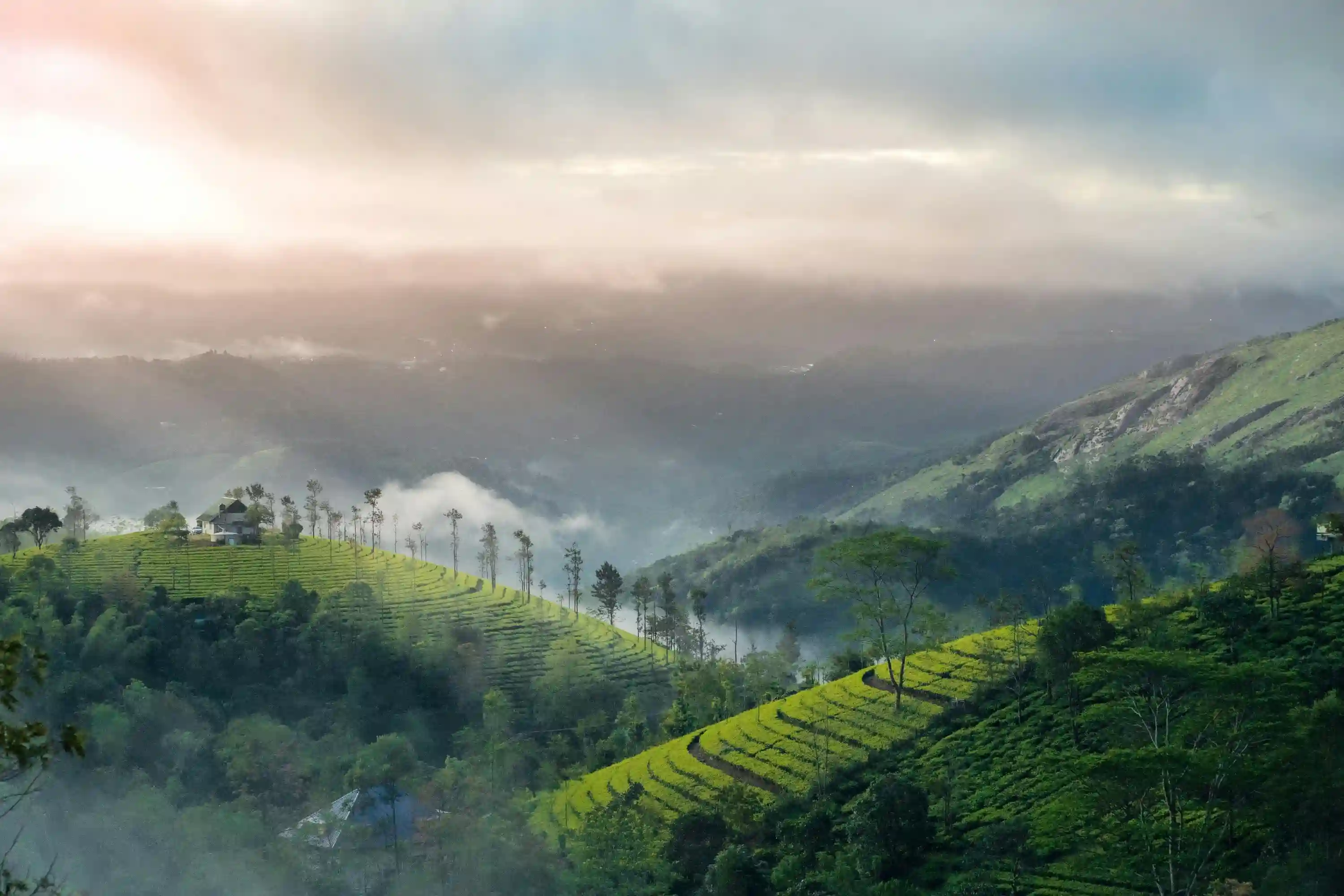 Experience the best of Kerala with an 8-day tour