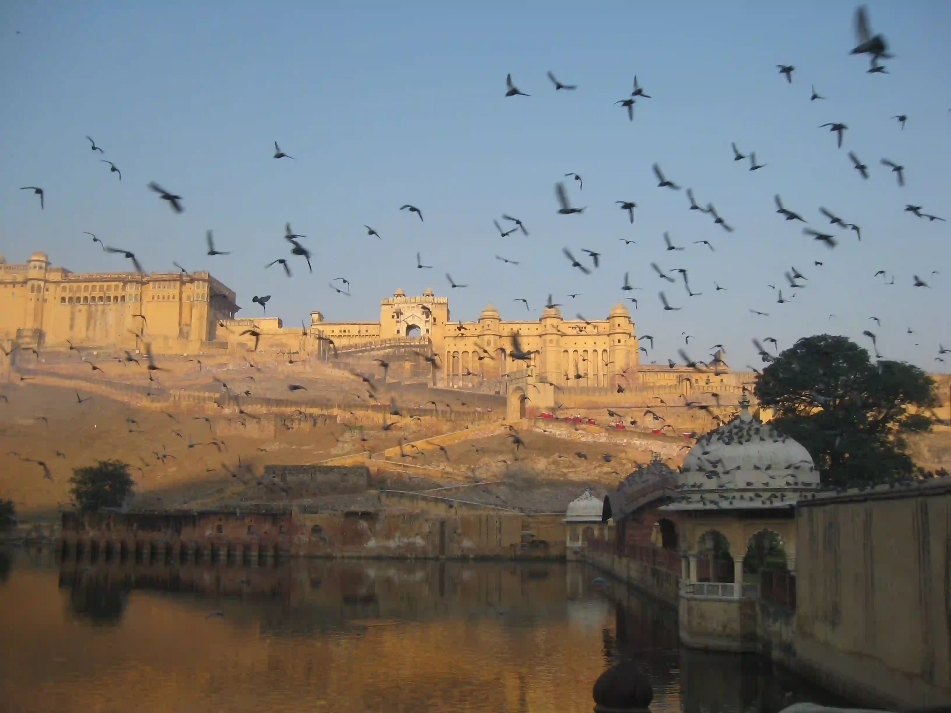 Overnight Ranthambore tour from Jaipur – 2 D