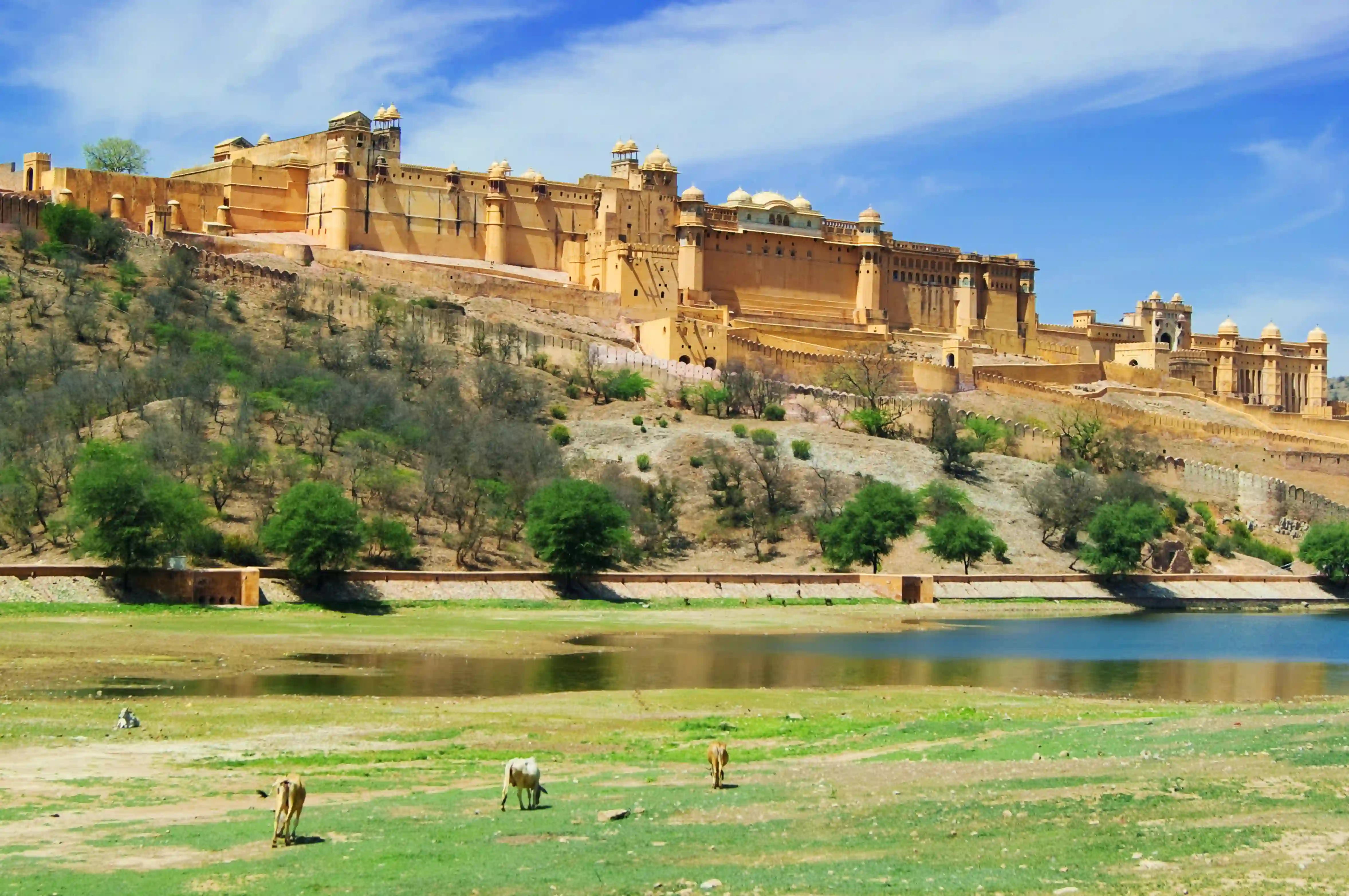 Overnight Ranthambore tour from Jaipur – 2 D