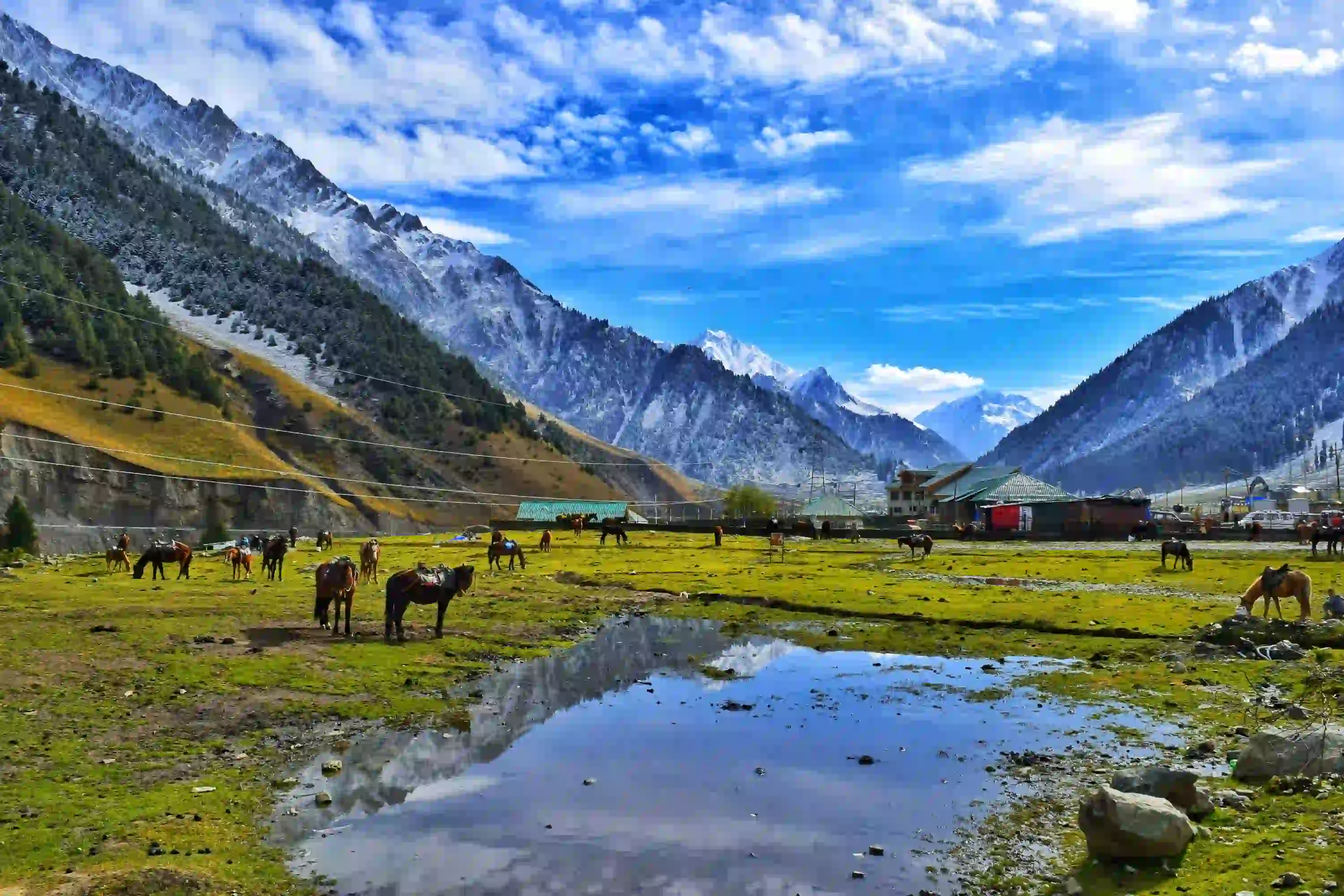 Experience the beauty of Kashmir in just 4 days