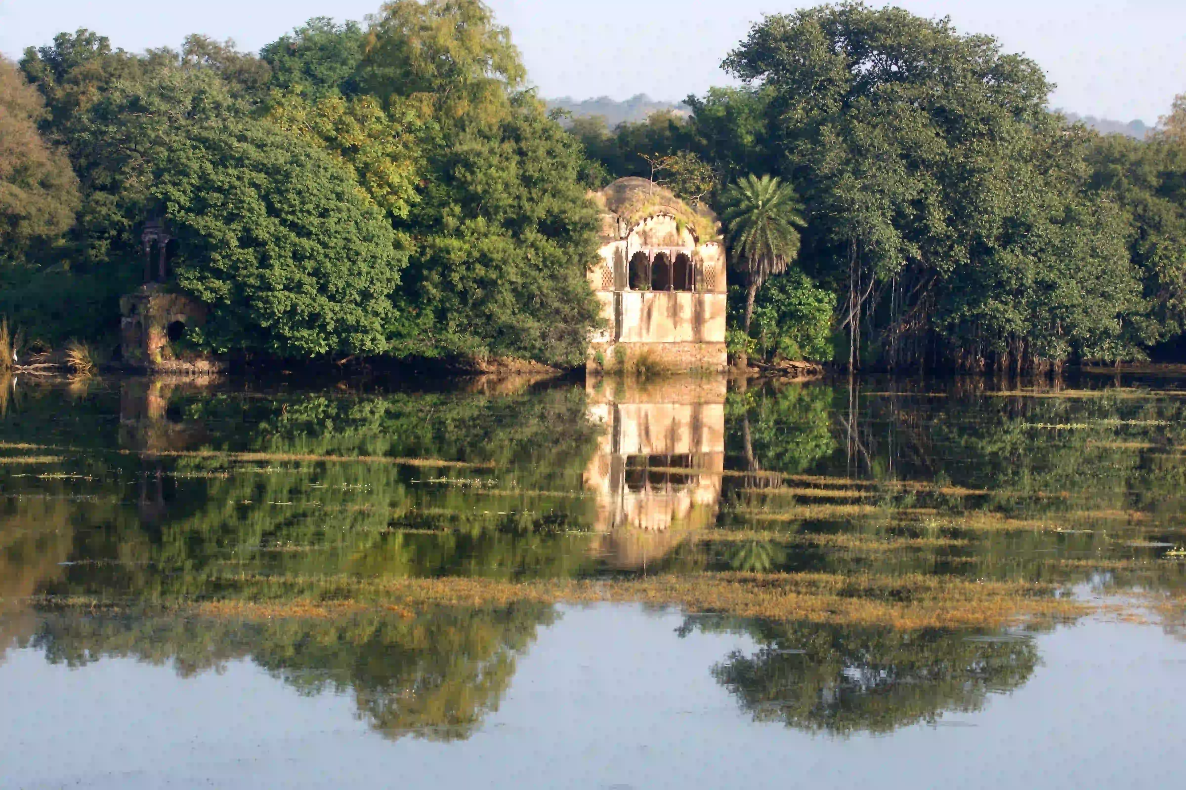 Golden triangle tour with Ranthambore