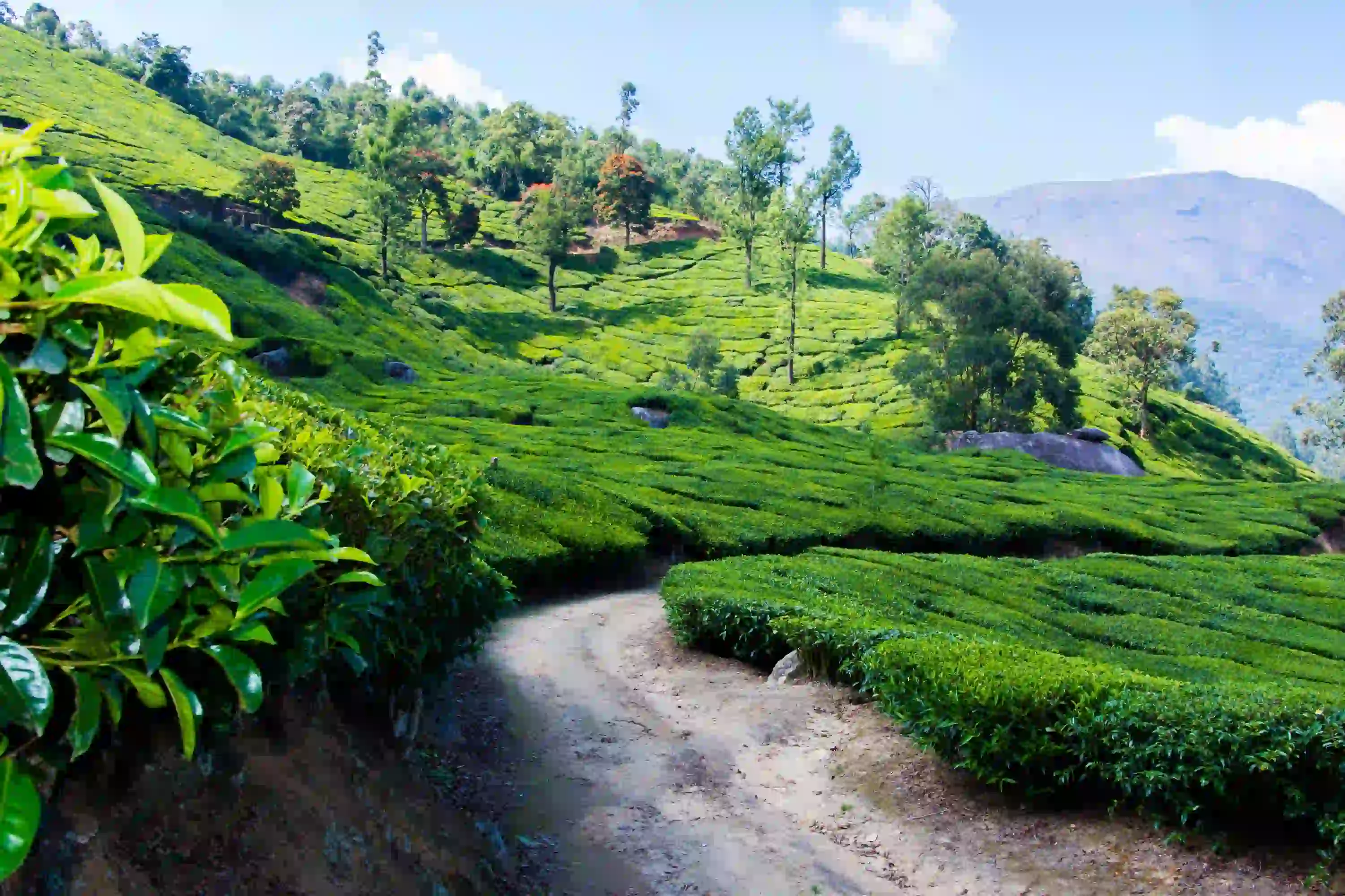 Kerala Tour Package 5 Night 6 Days
