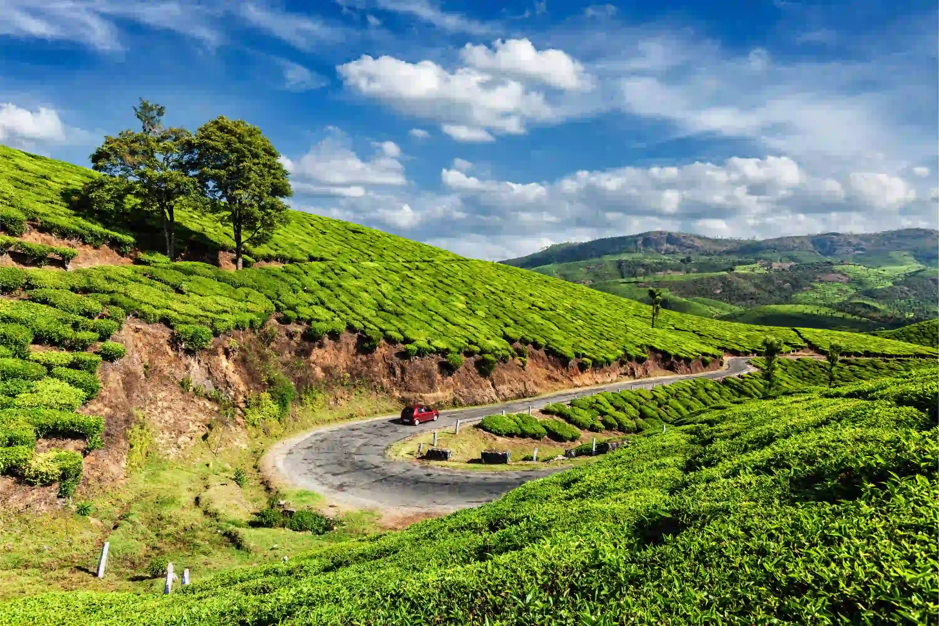 Experience the best of Kerala with an 8-day tour