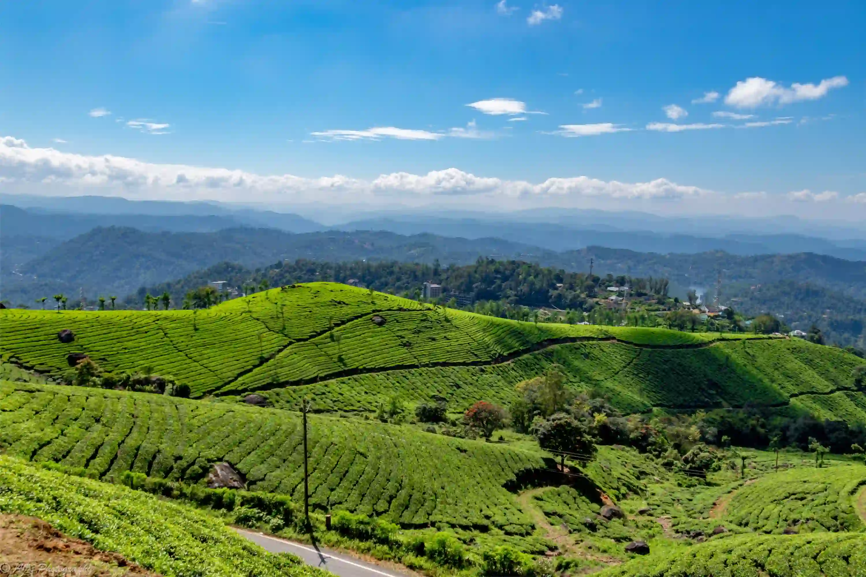 Captivating beauty of Kerala 6-day tour